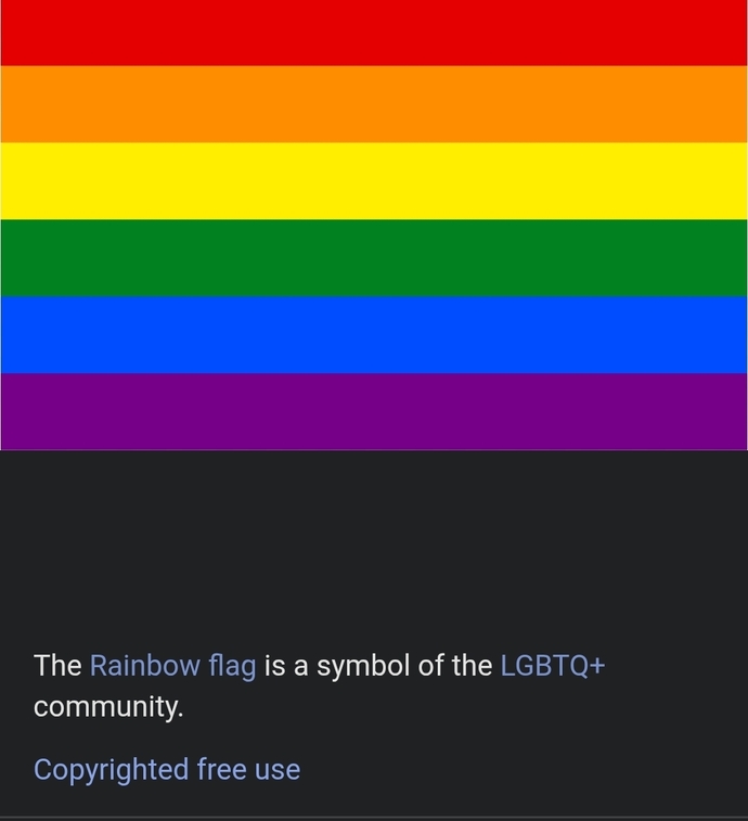 What do you honestly think about the straight pride flag?