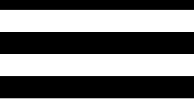What do you honestly think about the straight pride flag?