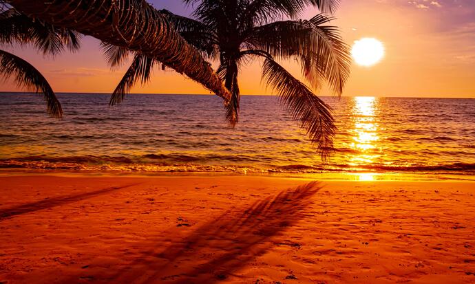 What type of beach do you most enjoy visiting in summer?