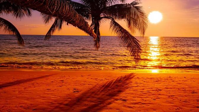 What type of beach do you most enjoy visiting in summer?