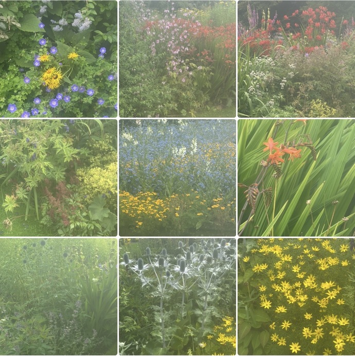 What do you think of these photos of Scottish gardens?