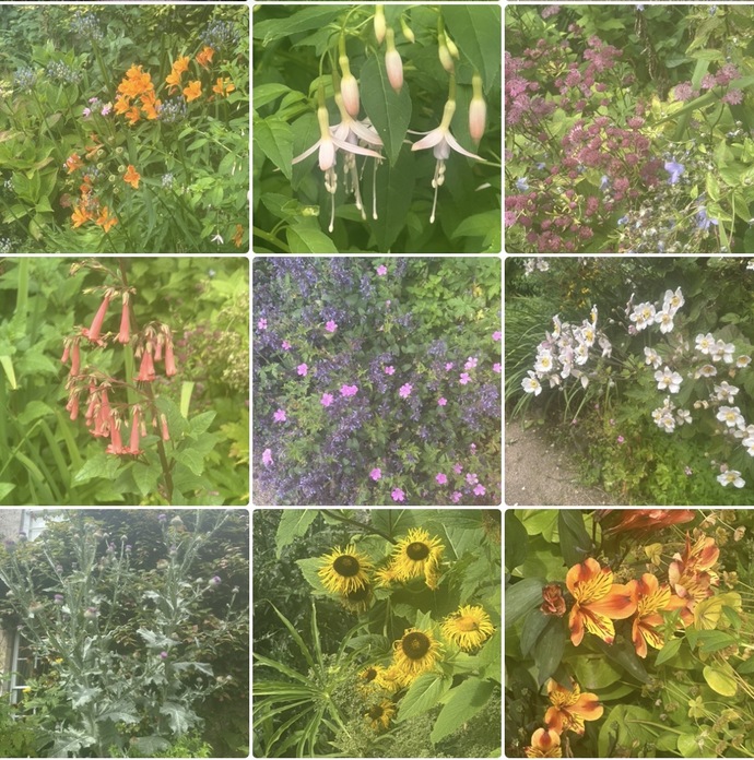 What do you think of these photos of Scottish gardens?