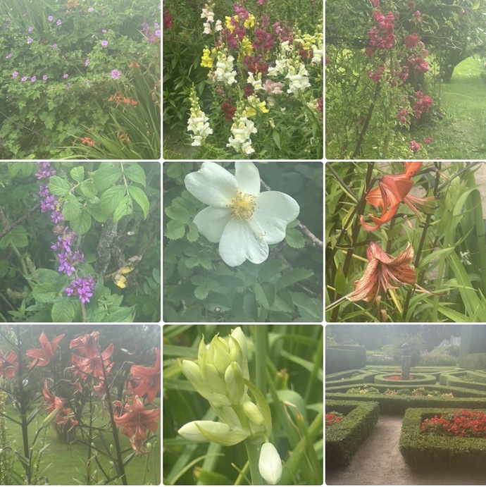 What do you think of these photos of Scottish gardens?