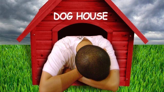 Are sofa beds are good furnitures when your in the dog house?