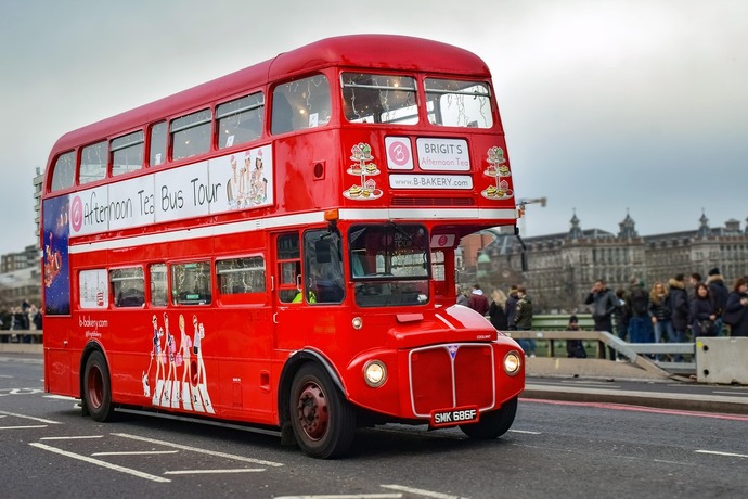 What is the plural of the word BUS?