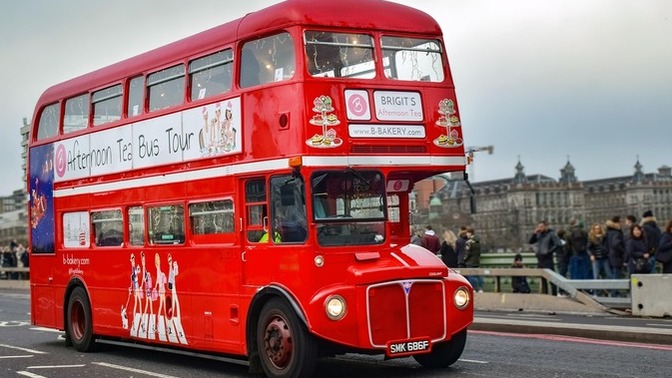 What is the plural of the word BUS?