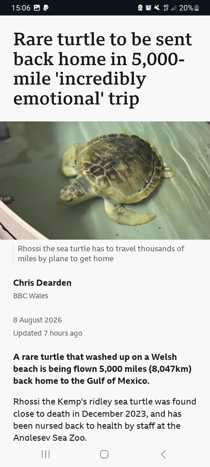 Would you massage your turtle with KY jelly?