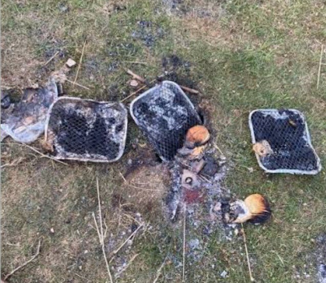 Have you ever successfully cooked anything on a disposable barbecue?