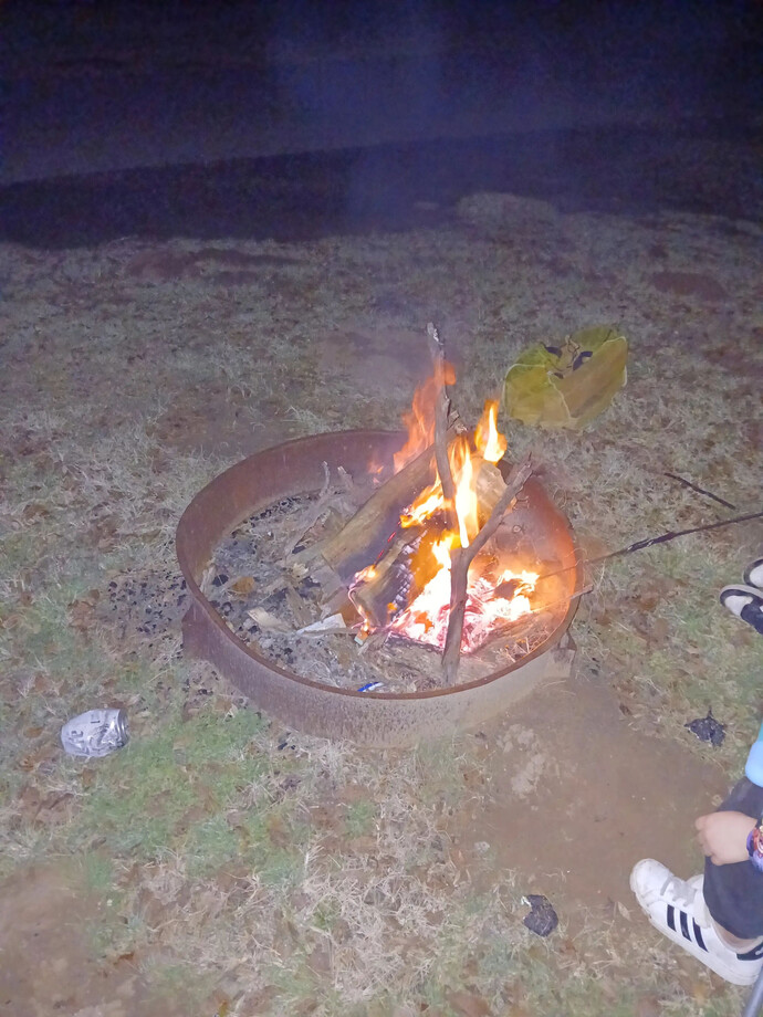 Have you ever successfully cooked anything on a disposable barbecue?