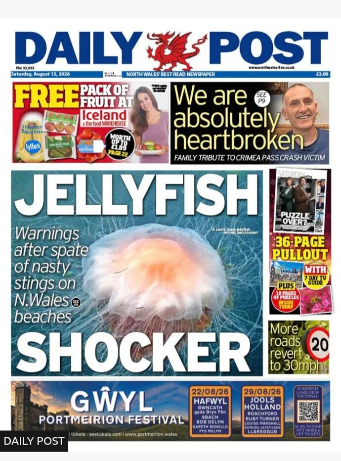 Have you ever been stung by a jellyfish?