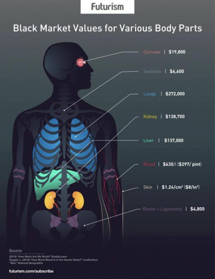 At least your organs are worth something