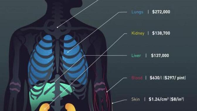 Humans have intrinsic value. What is the financial value of intrinsic human worth?