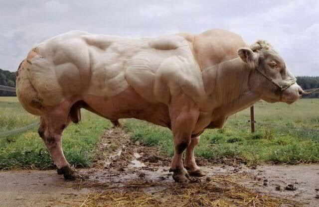 See this is what i am trying to avoid eating