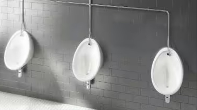 Do You Hide Your Willy From Other Males When Peeing In Public Urinals, And Would You Do Anything Differently If The Toilets Were Unisex?