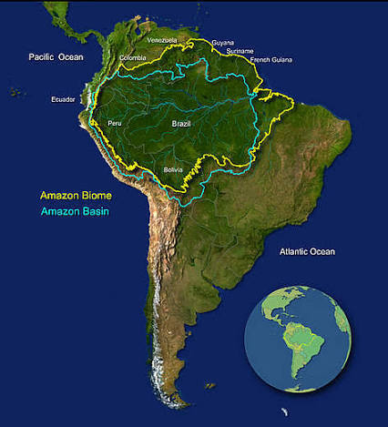Would you ever want to visit the Amazon Rainforest?