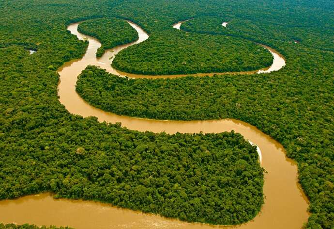 Would you ever want to visit the Amazon Rainforest?