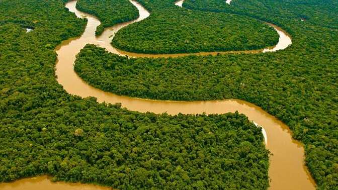 Would you ever want to visit the Amazon Rainforest?