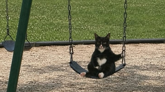I don't have any close friends and I feel lonely, yet I avoid people. How can I resolve this?