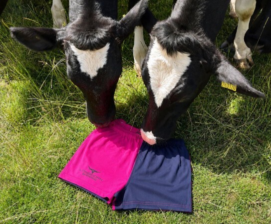 Do you like shearing shorts?