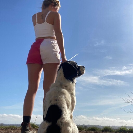 Do you like shearing shorts?
