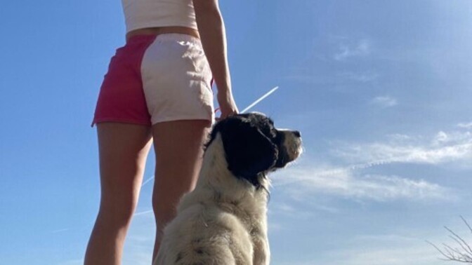 Do you like shearing shorts?