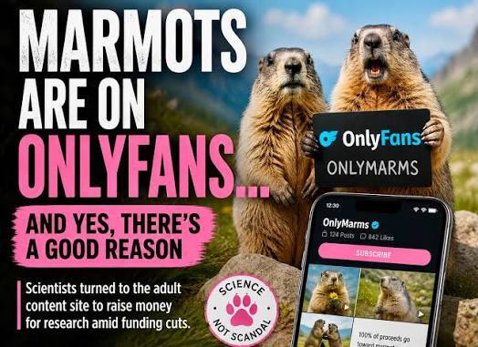 Are you following @onlymarms yet?