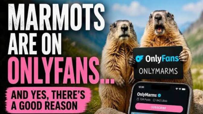 Are you following @onlymarms yet?