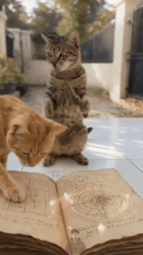 Are you brave enough to enter this cat-guarded treasure dungeon?