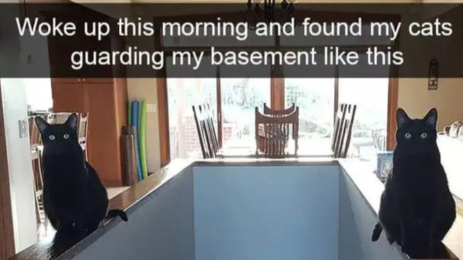 Are you brave enough to enter this cat-guarded treasure dungeon?