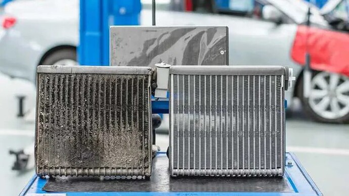 Do you have your cars evaporator cleaned only when needed?