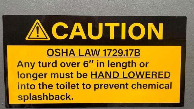 Would you use this toilet?