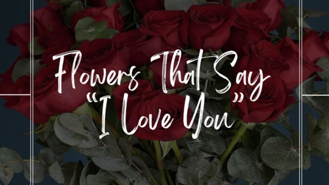 Which flower is the perfect way to say ‘I love you’?