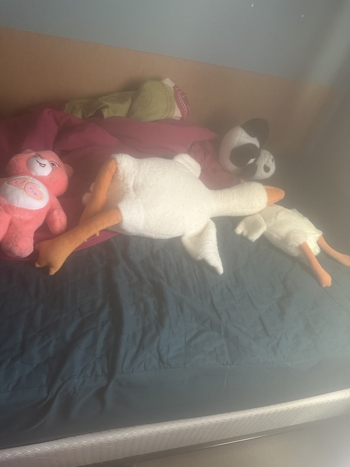 Does hugging therapy with stuffed animals actually help?