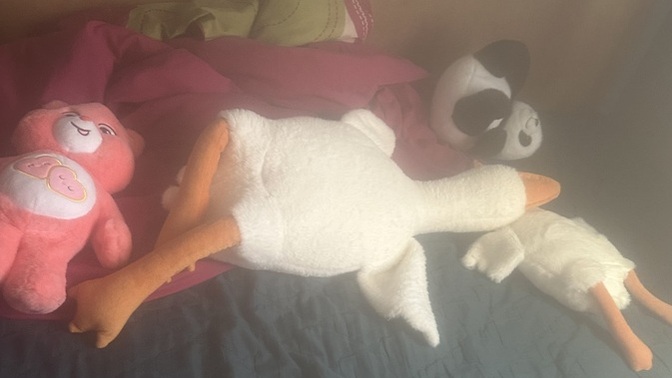 Does hugging therapy with stuffed animals actually help?