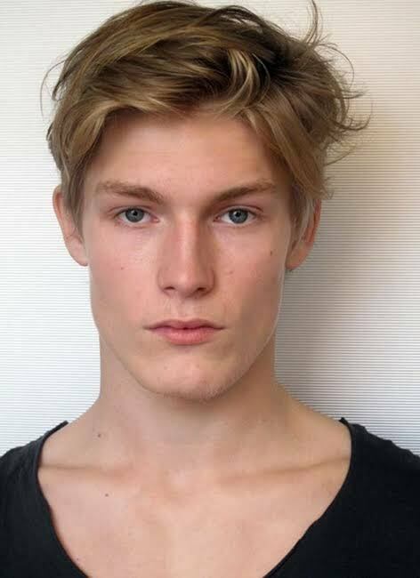 Girls, do you like Scandinavian men?