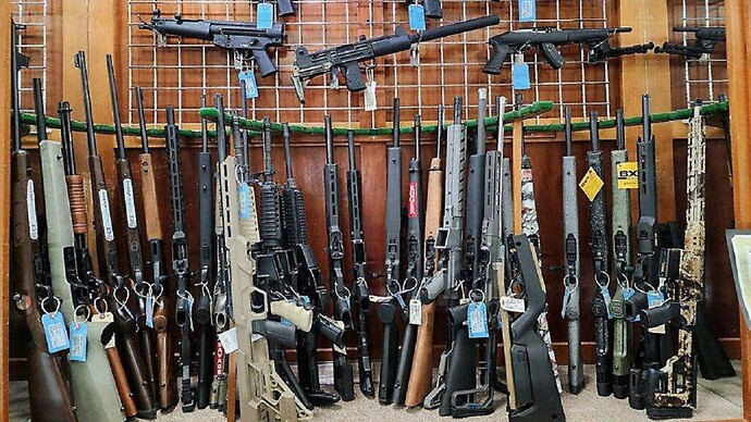 Ladies, what is your dream firearm setup and accessories?