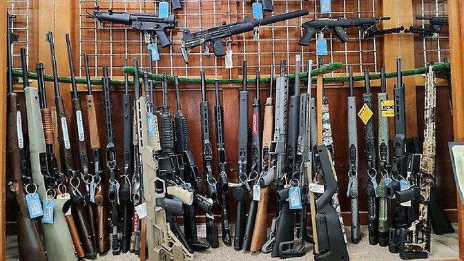 Ladies, what is your dream firearm setup and accessories?