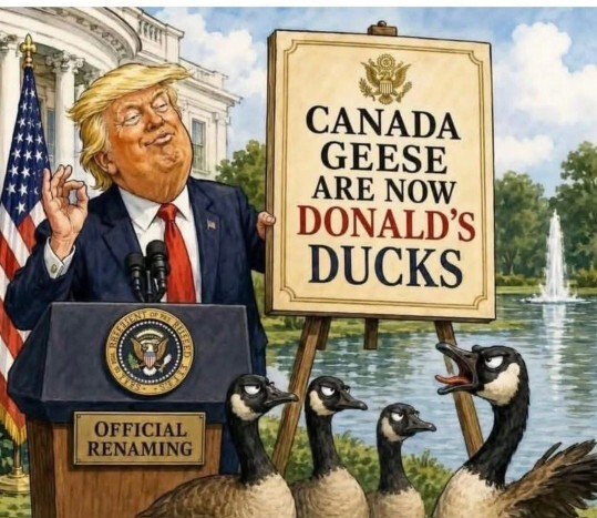 Should the Canada goose be renamed the America goose?