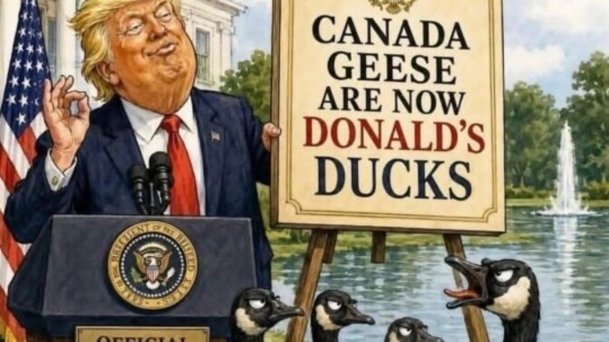 Should the Canada goose be renamed the America goose?