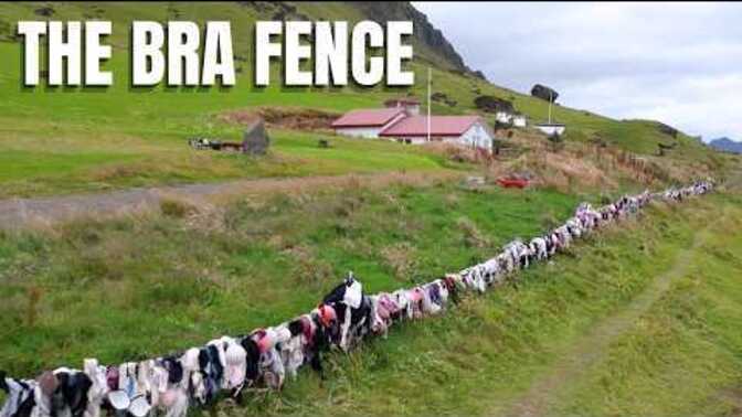 Do you support Iceland's Bra Fence?