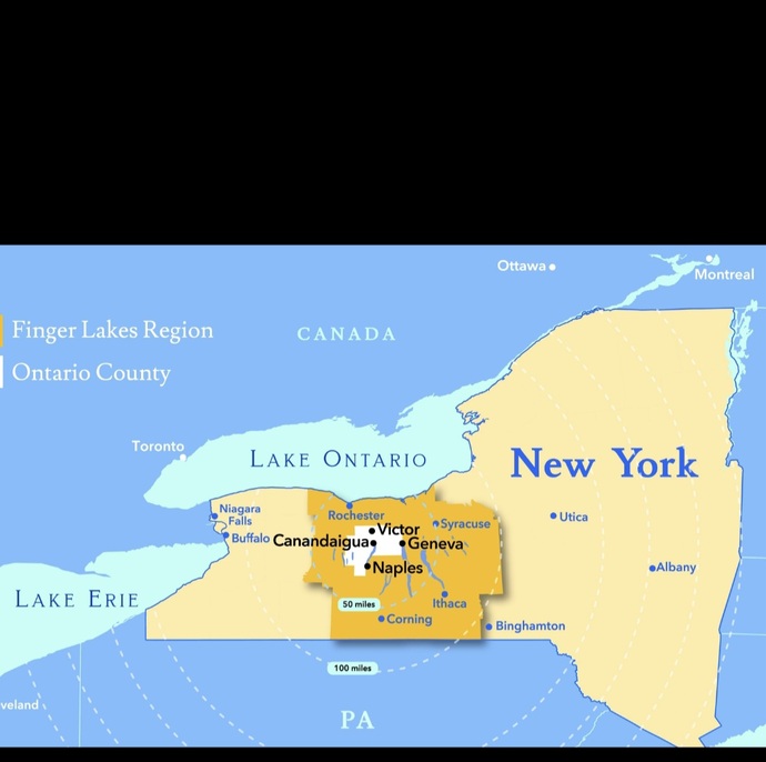 Will new york state government insist on: maps opposing trump?