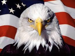 Which country are you from and what is the #1 thing you love about your country? Please name only one, the most important one. ?