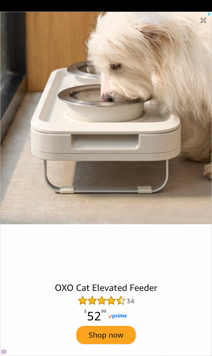 Pop-Up Online Ad