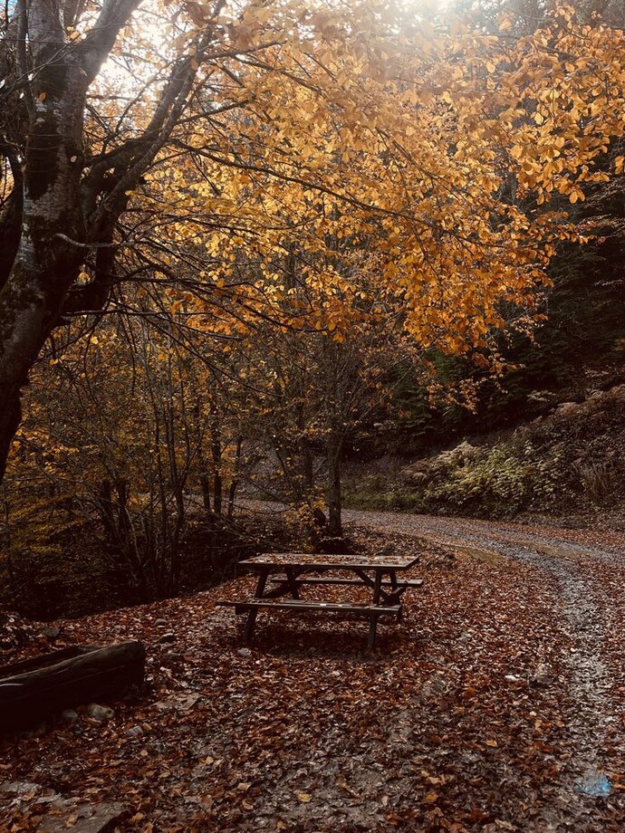 What is your favorite season?