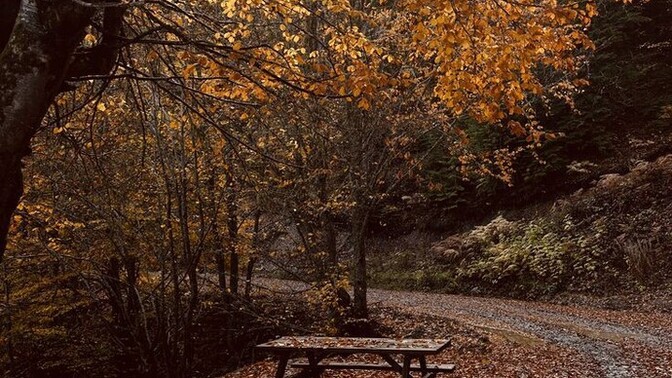 What is your favorite season?