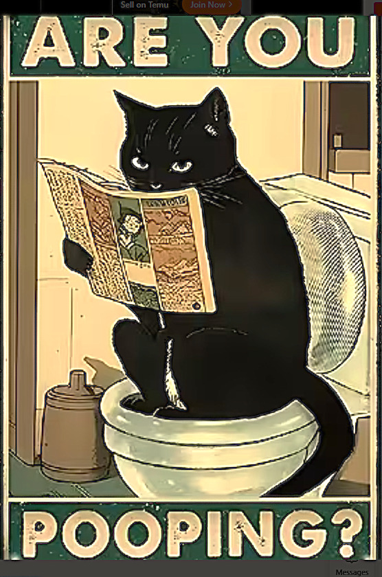 What does your S. O., room mate, or anyone else ask you when you are in the bathroom?