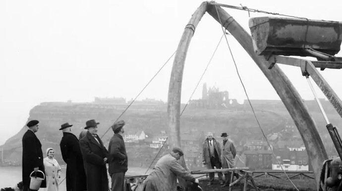 Should Whitby get a new real whale arch?
