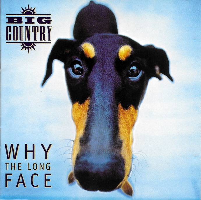 Is long face the ugliest? Why do girls with long face look more uglier in real life?