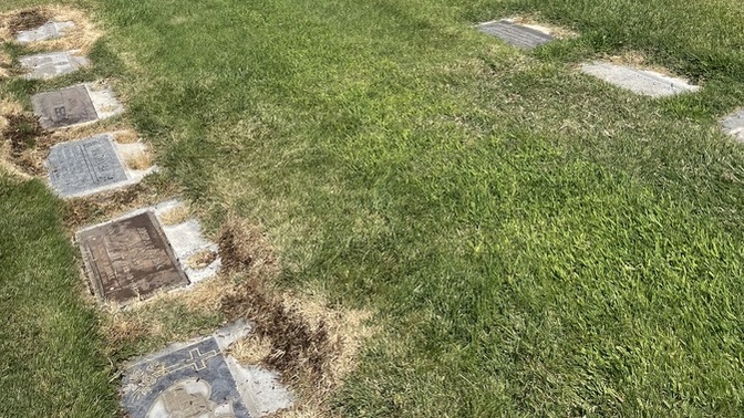 Do you ever visit the graves of deceased loved ones?