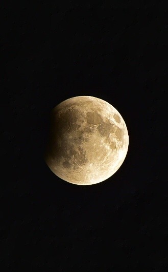 Do you ever get good pictures of the moon?